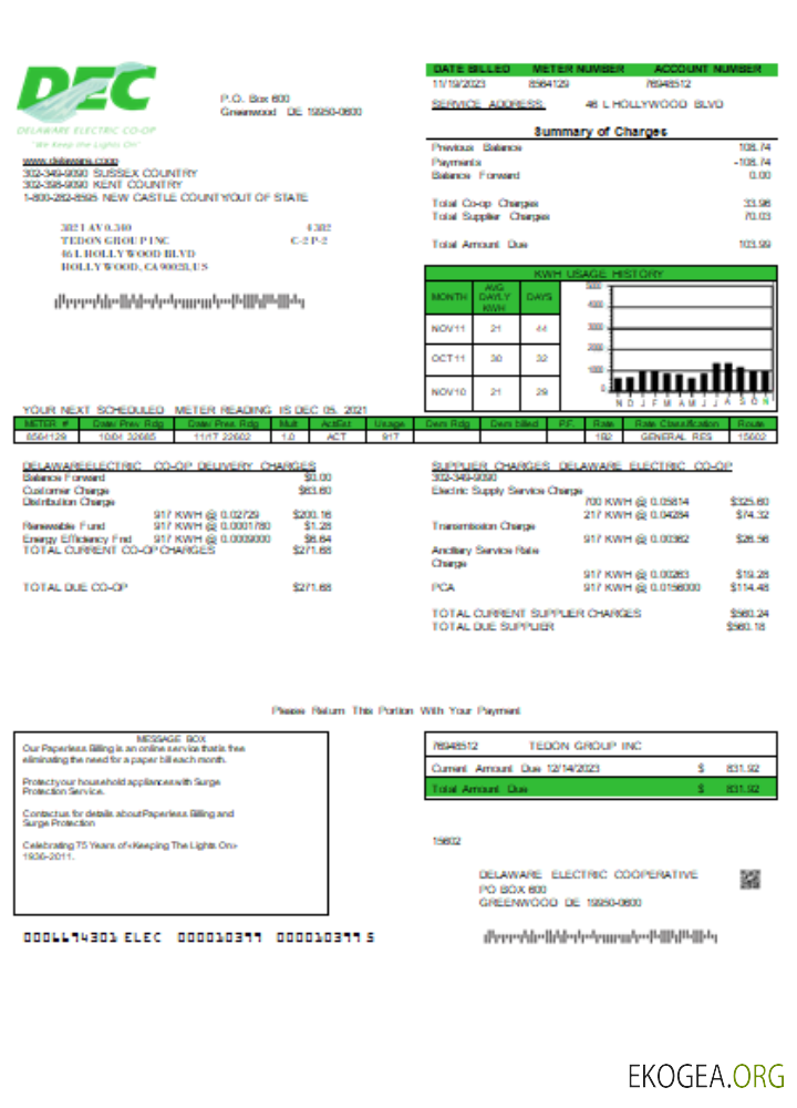 Facture commerciale de service public de la Delaware Electric Co op, SCR